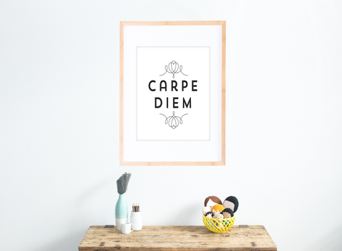 Carpe Diem 11x14, Canvas or Print, Inspirational Wall Decor